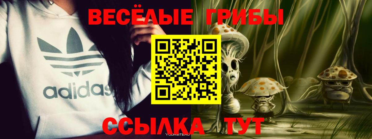 Галлюциногенные грибы мицелий Баксан
