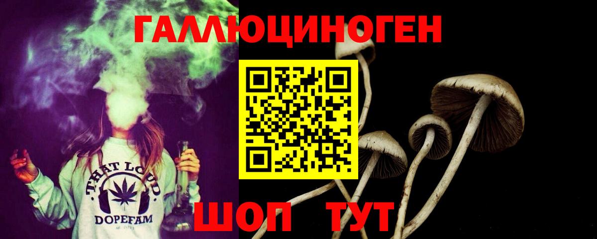 Галлюциногенные грибы прущие грибы  Вход с VPN  Галлюциногенные грибы мухоморы  Баксан 